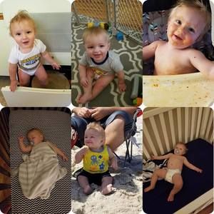 Meet your Posher, Crystal